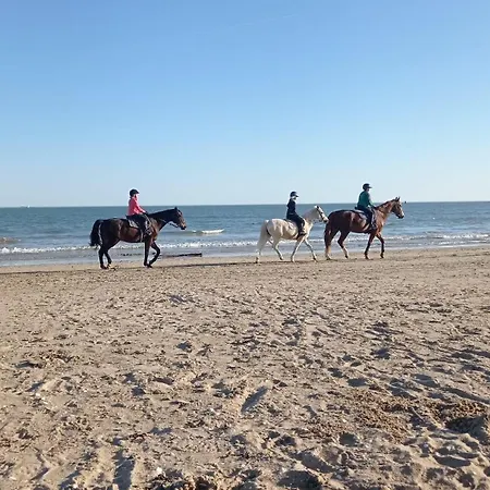 L'oasis - Piscine, De La Baule 10 Min * Guérande