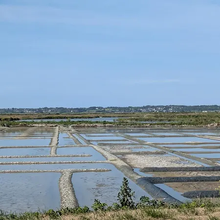 公寓 L'oasis - Piscine, De La Baule 10 Min 盖朗德