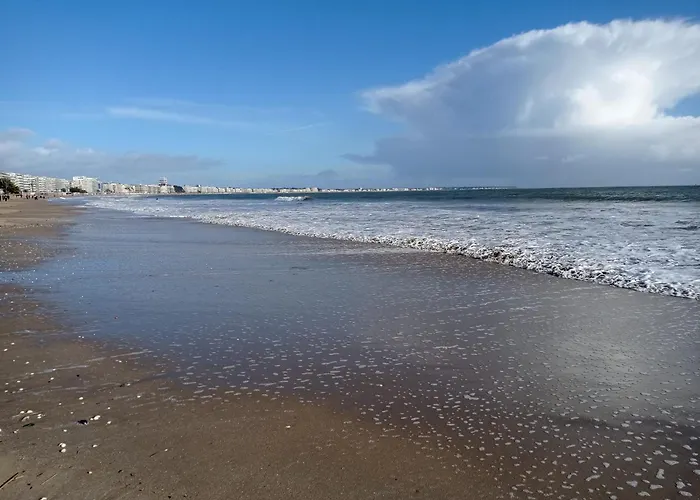 דירה L'oasis - Terrasse Privative & 10 Min Guérande