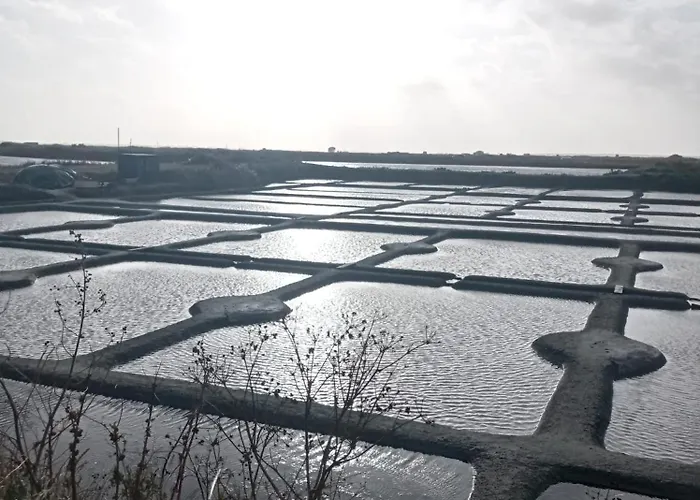 דירה L'oasis - Terrasse Privative & 10 Min